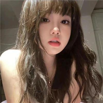 月季花开
